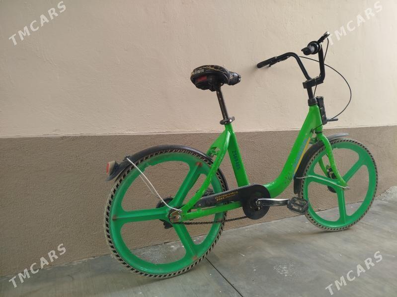 Hytaý tigir - Кипджак - img 2