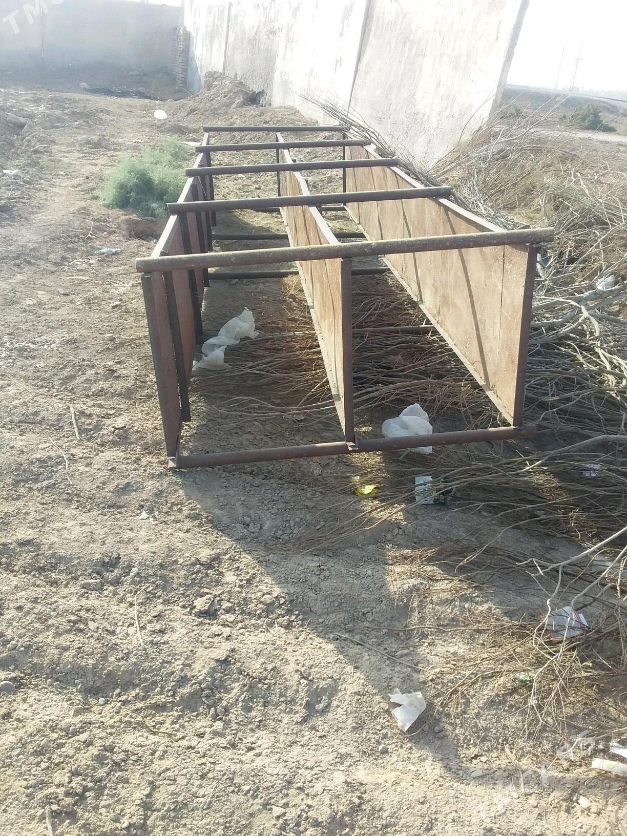 Polka - Теджен - img 3