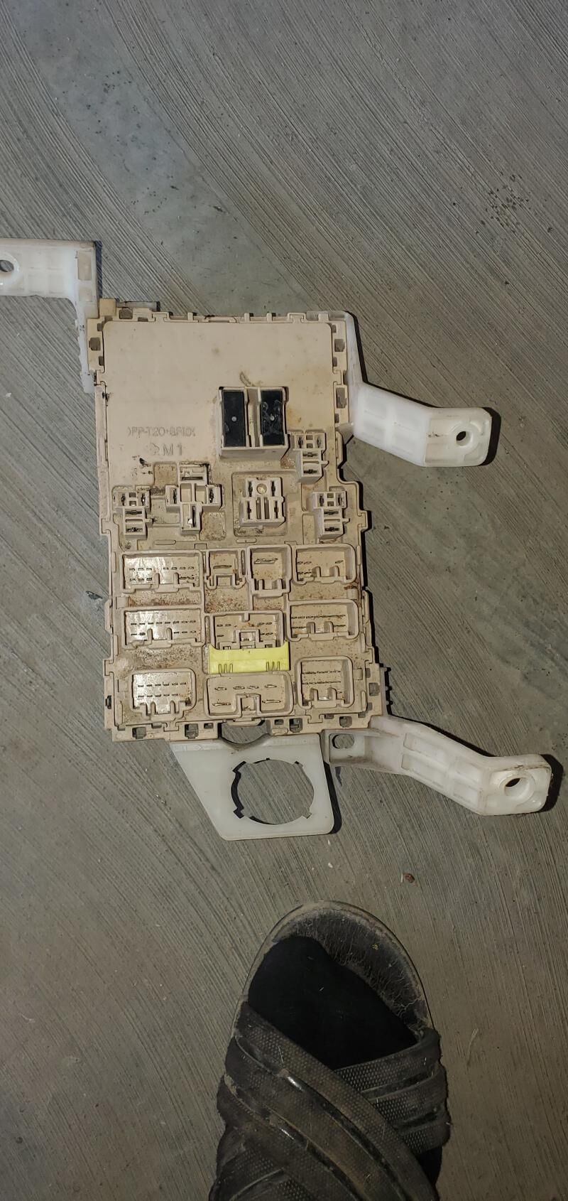 mator prawotka 2 000 TMT - Dänew - img 3