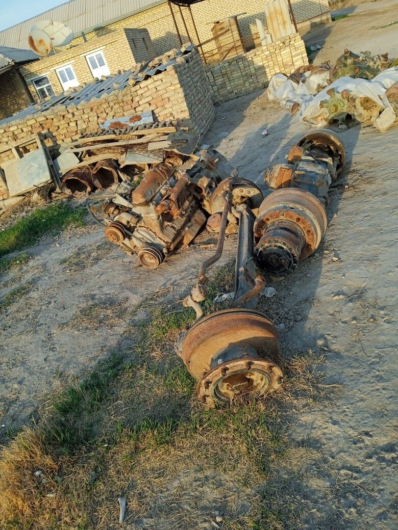 Laz afdabus moslar 100 TMT - Mary - img 2