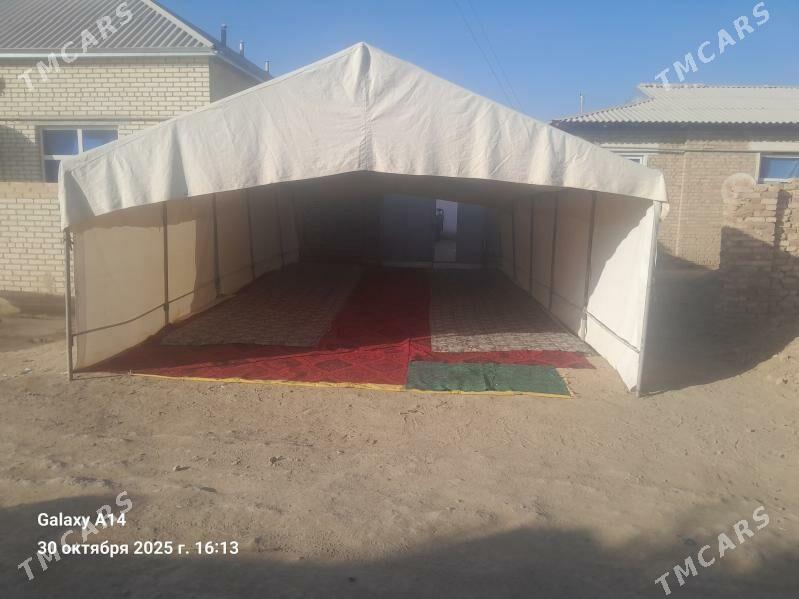 Palata - Каракумский этрап - img 2