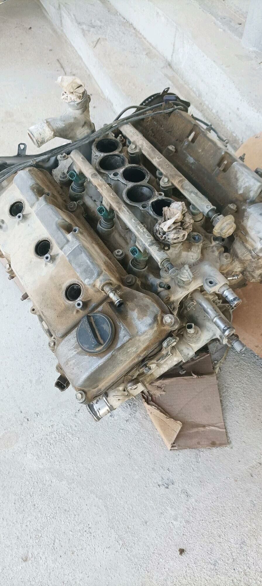 MATOR 3lik 1 100 TMT - Ýaşlyk - img 2