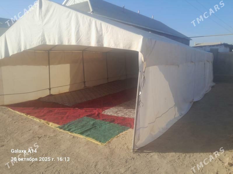 Palata - Каракумский этрап - img 1