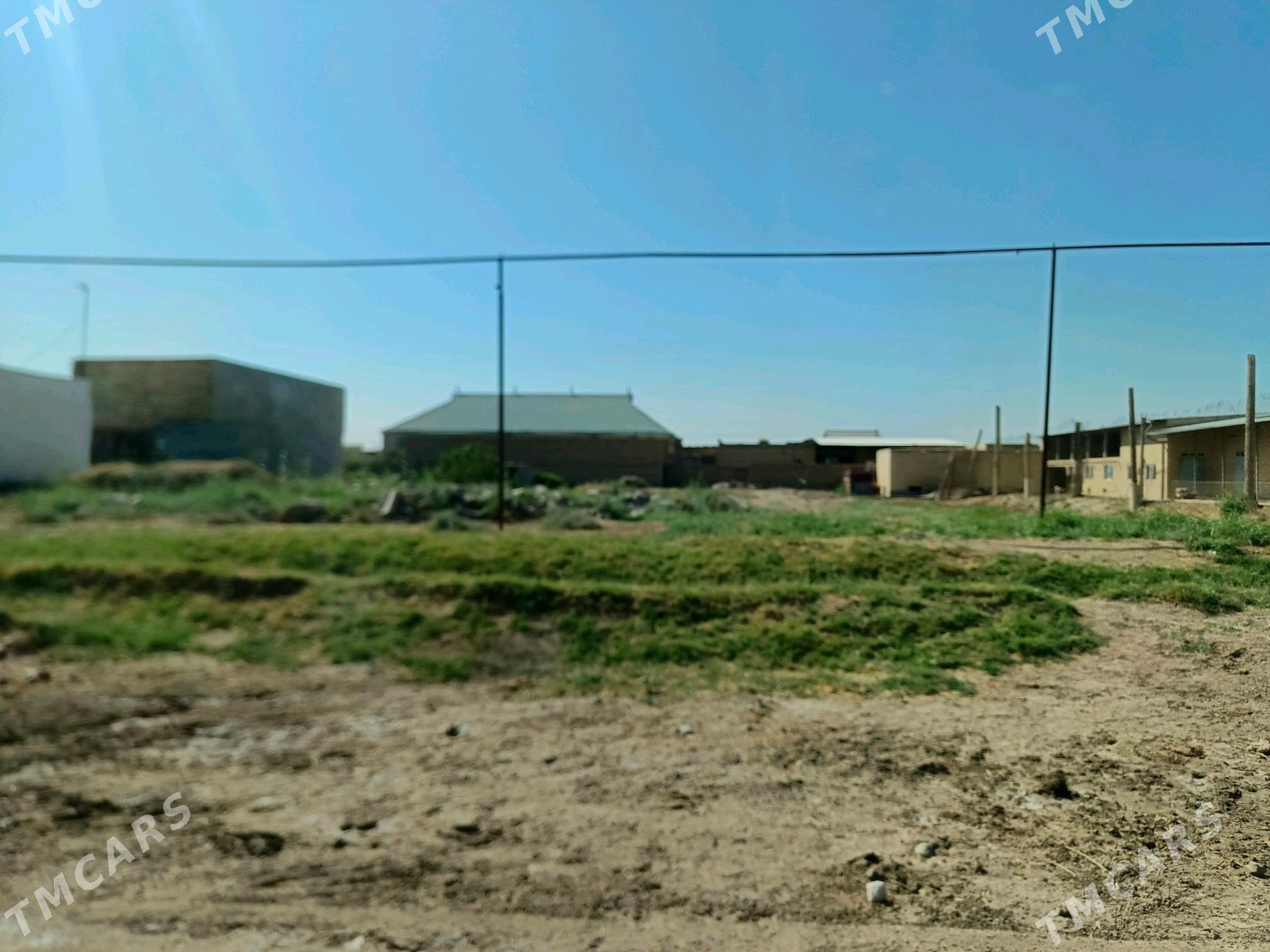 Melek - Туркменабат - img 3