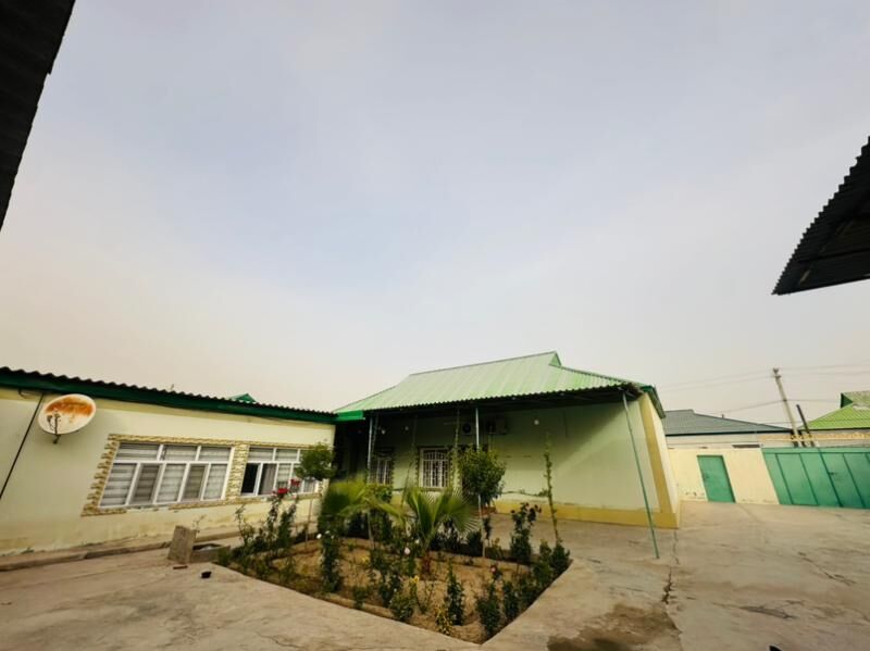 Täze Gämi - Ak bugdaý etraby - img 7