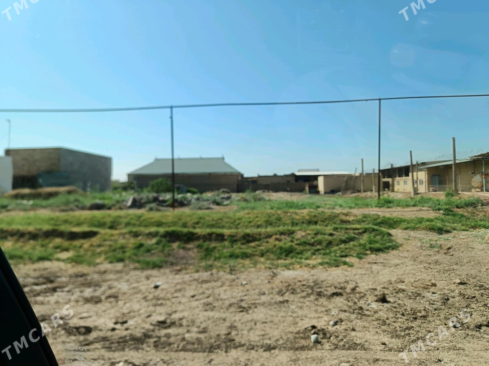 Melek - Туркменабат - img 2