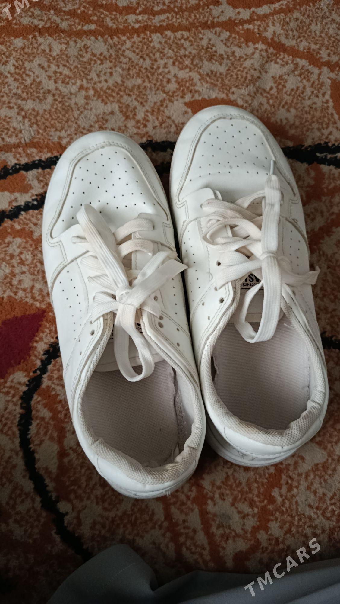 krasowka - Köşi - img 2