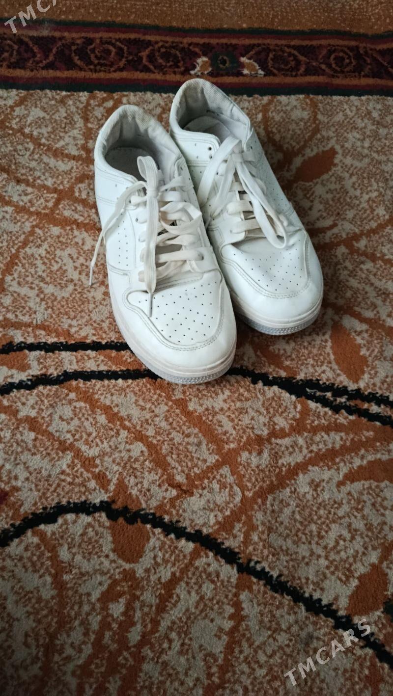 krasowka - Köşi - img 1