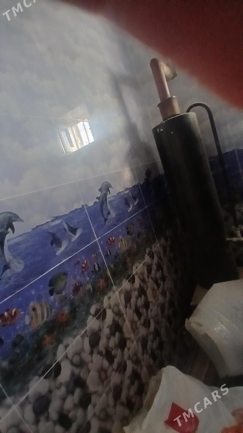 ÄNEW KAROWNIK ARZAN JAÝ - Анев - img 5