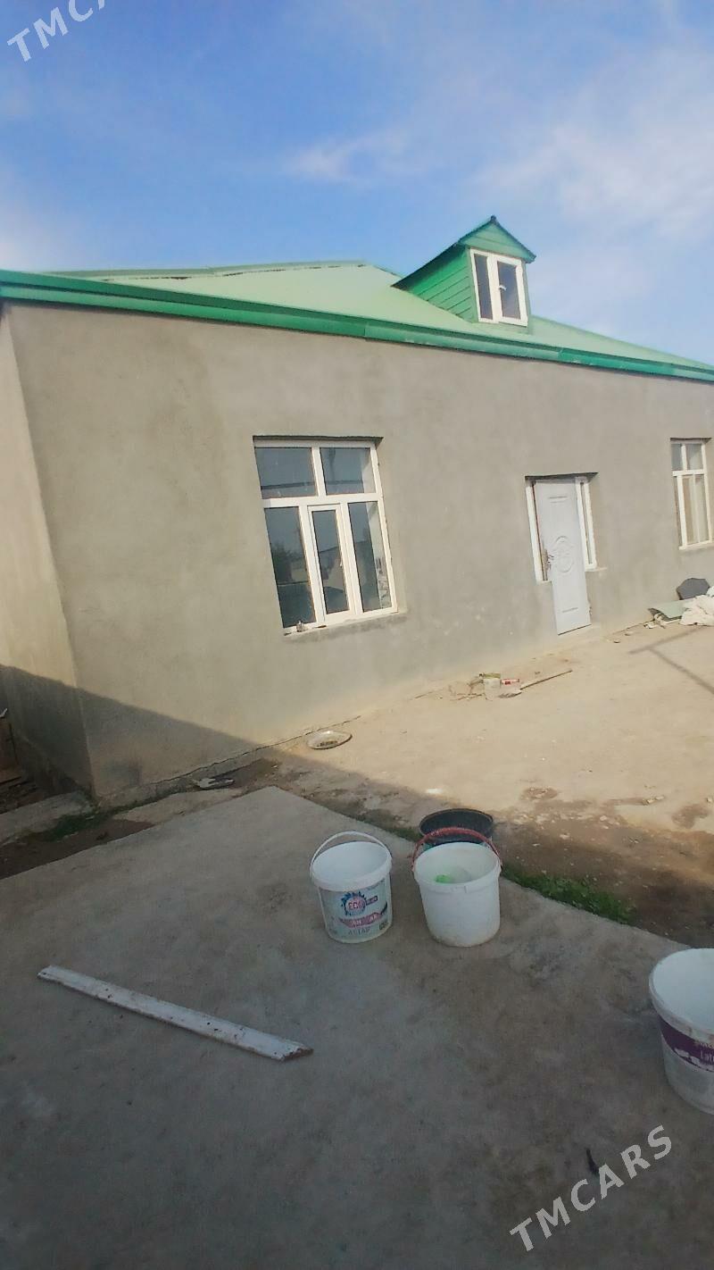 ÄNEW KAROWNIK ARZAN JAÝ - Анев - img 10