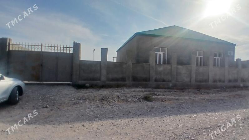 ÄNEW KAROWNIK ARZAN JAÝ - Анев - img 9