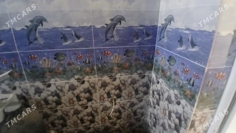 ÄNEW KAROWNIK ARZAN JAÝ - Анев - img 4