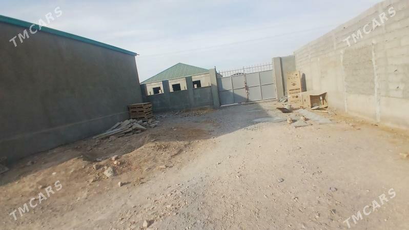 ÄNEW KAROWNIK ARZAN JAÝ - Анев - img 8