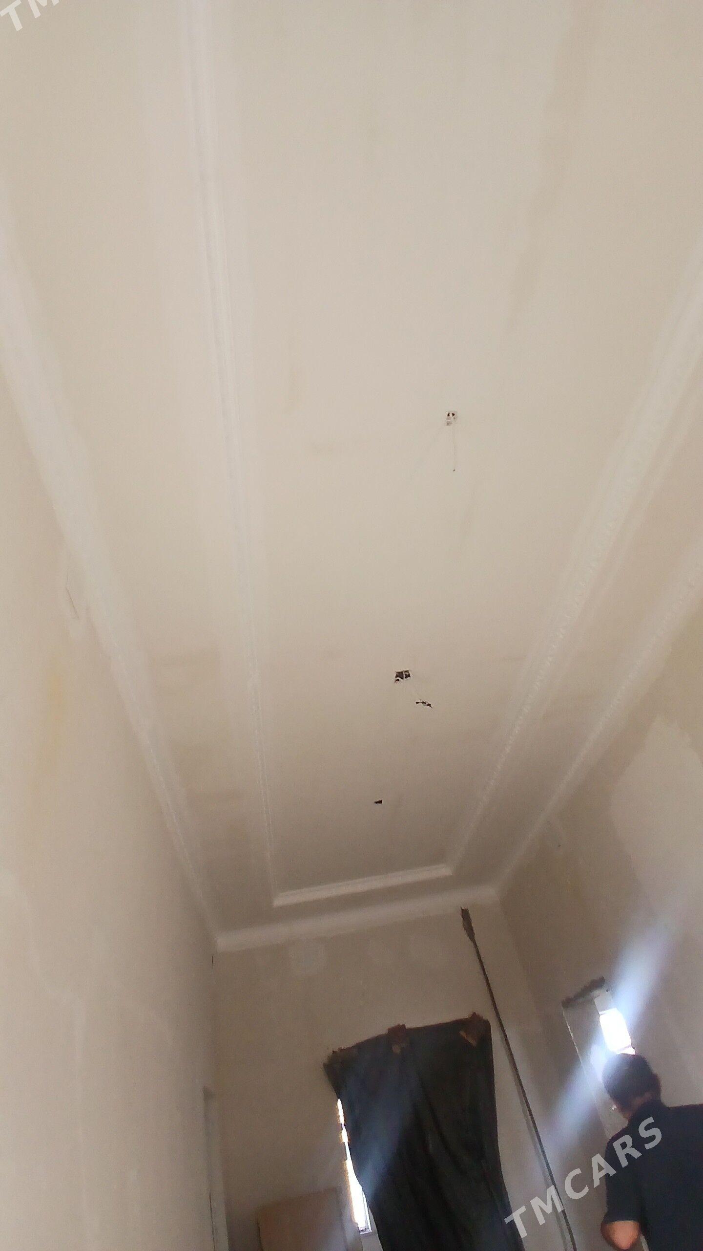 ÄNEW KAROWNIK ARZAN JAÝ - Анев - img 3