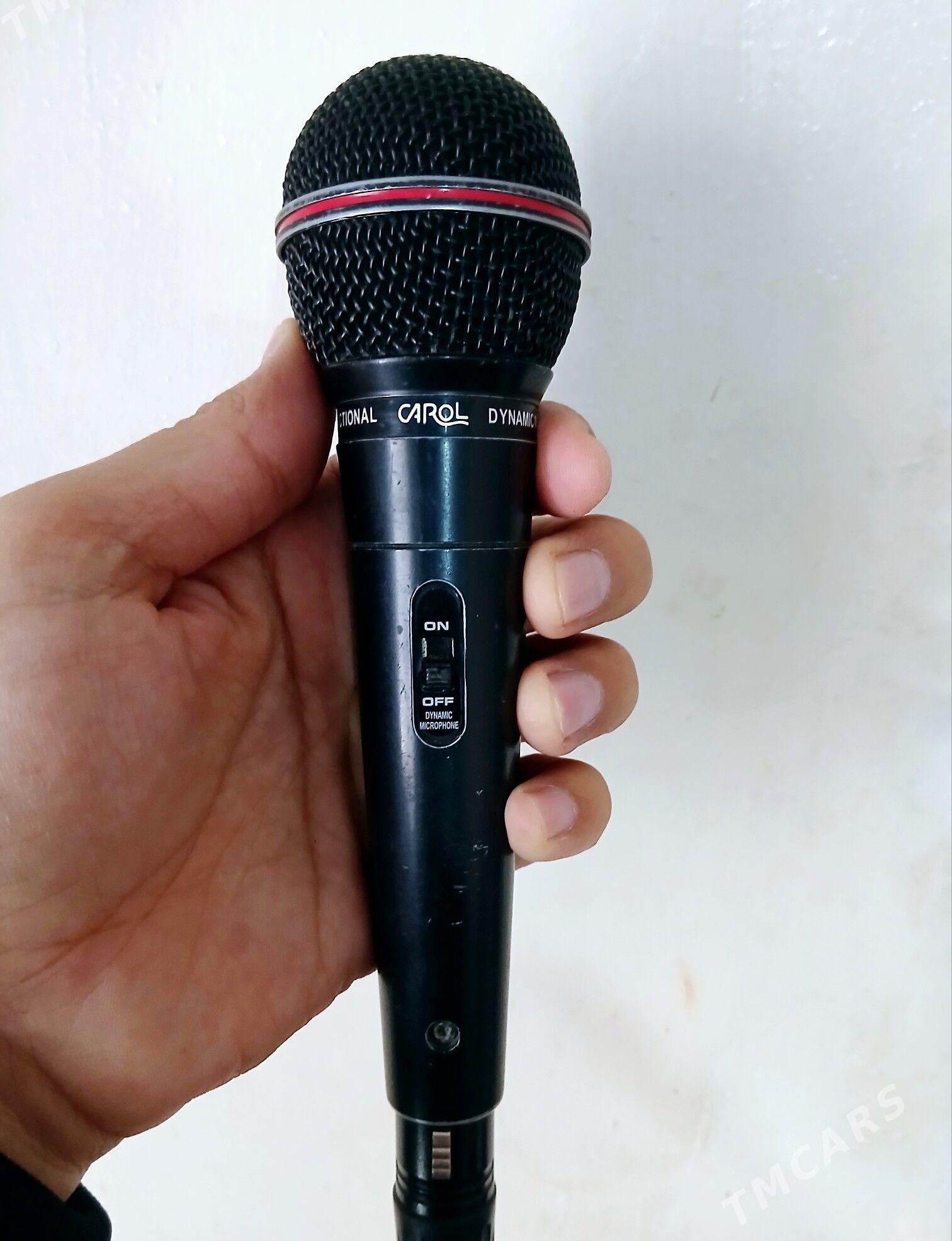 Kalonka - Mary - img 4