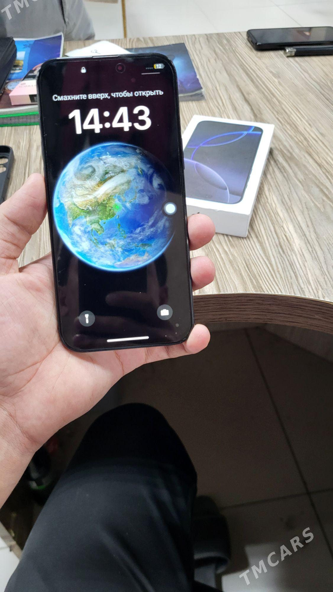 16 promax dublikady - Sakarçäge - img 2