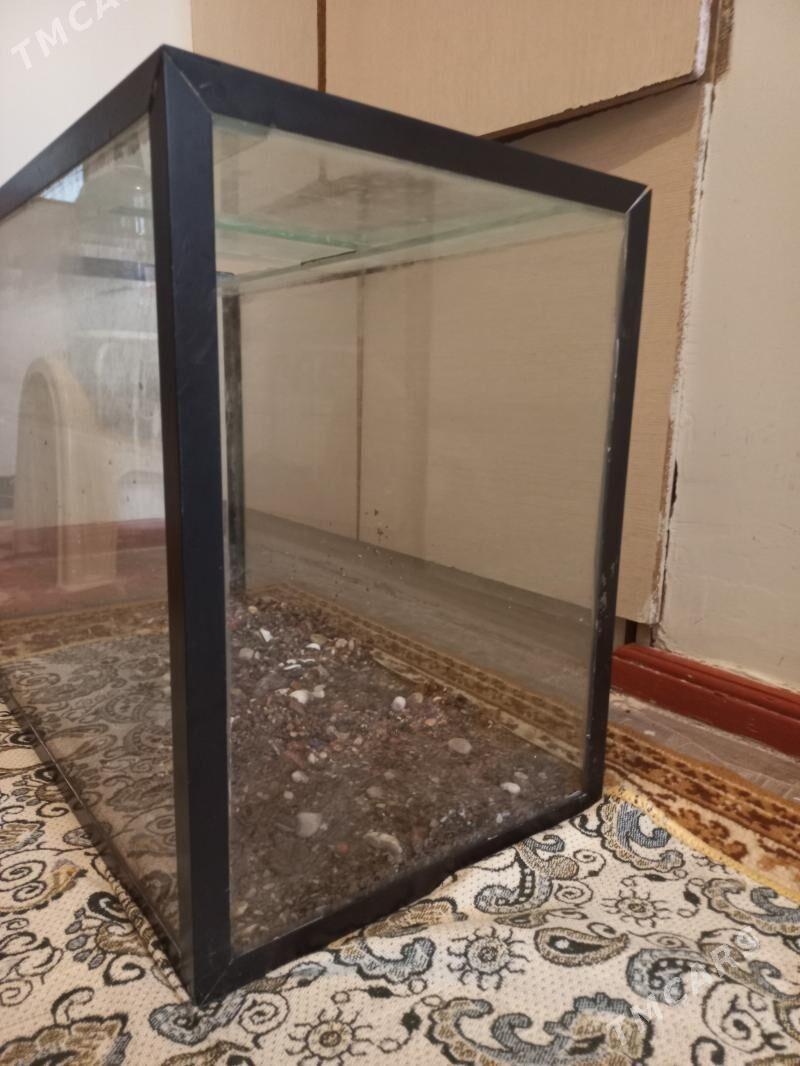 Akwarium 50litrAkwarium - Aşgabat - img 2