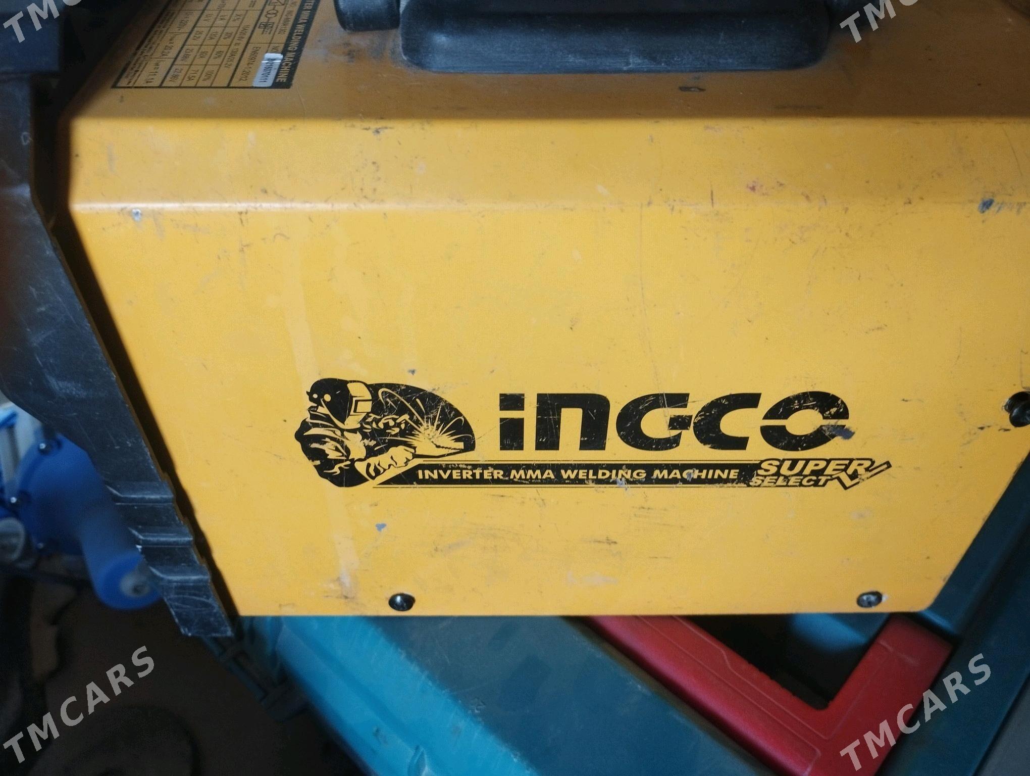 sywarka - Bäherden - img 1