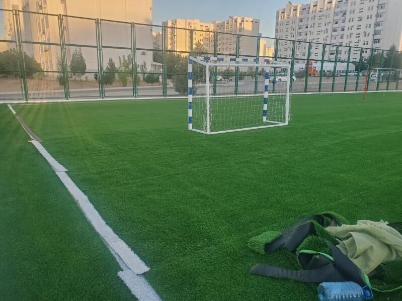 Gazon ot Emeli otlar - Aşgabat - img 7