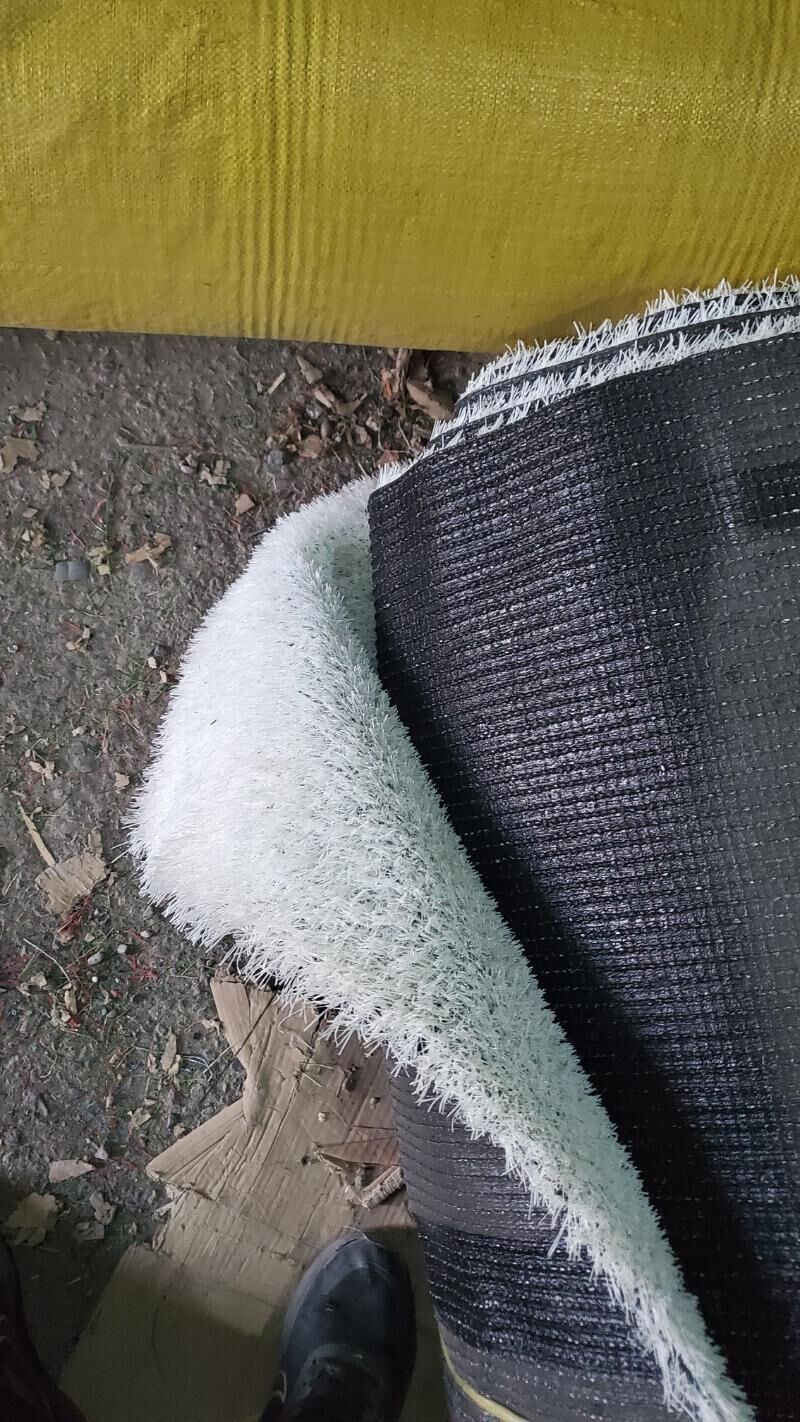 Gazon ot Emeli otlar - Aşgabat - img 5