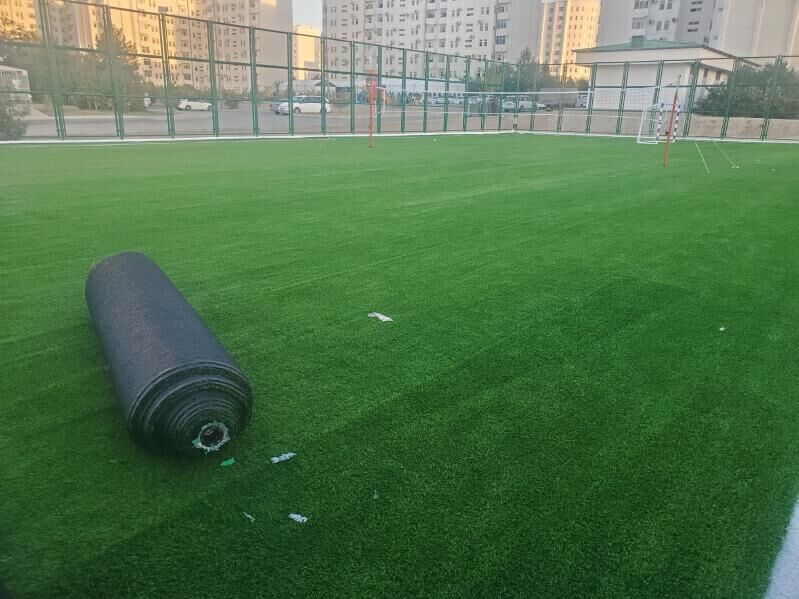 Gazon ot Emeli otlar - Aşgabat - img 8