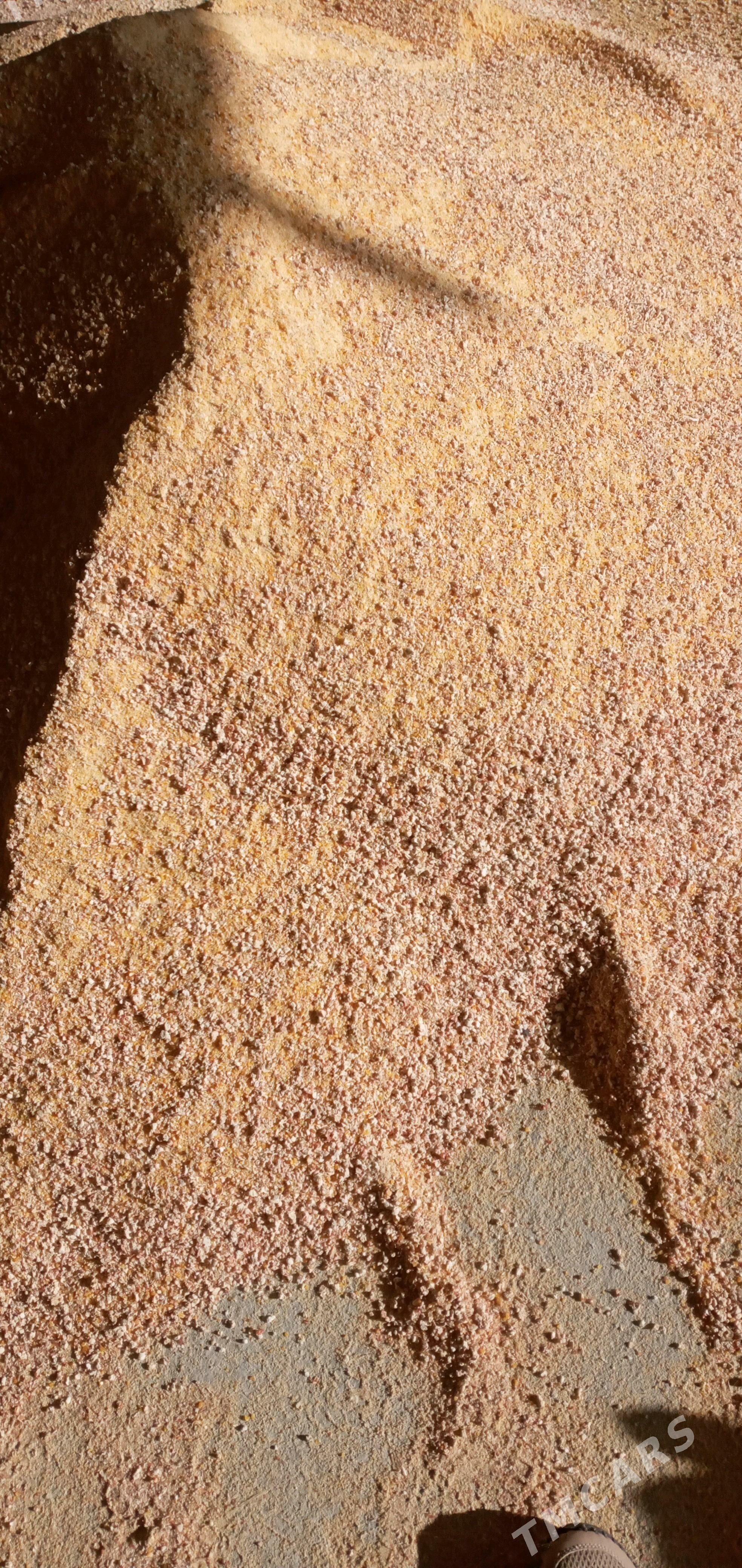 öküz sygyr goýun. towuk iým - Бахарден - img 2