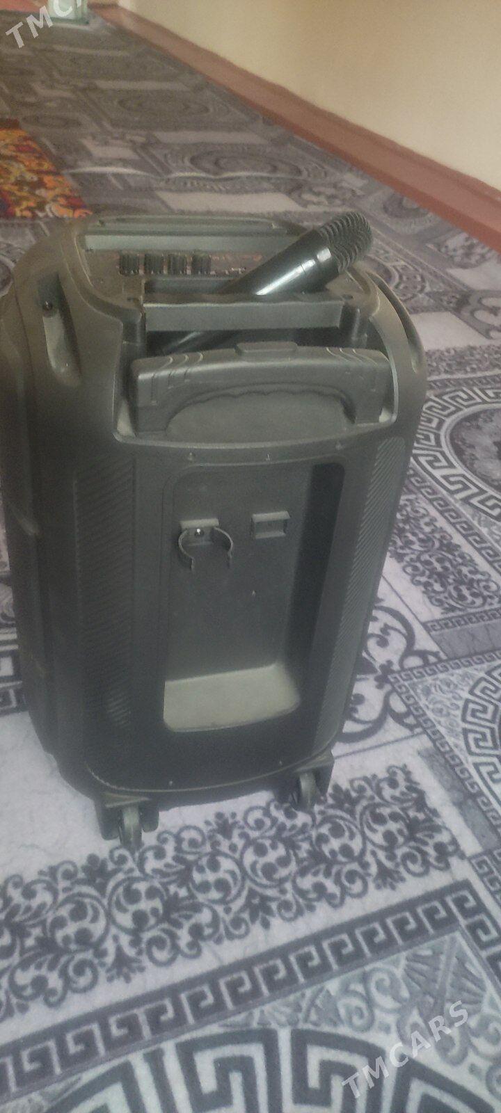 kolonka - Кёнеургенч - img 3