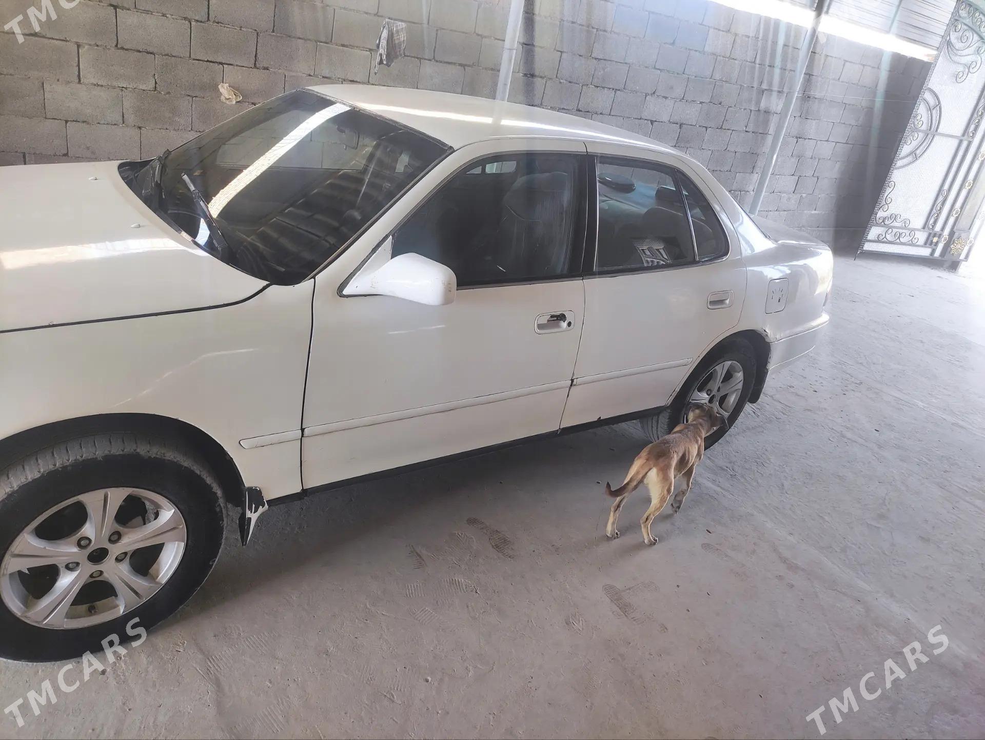 Toyota Camry 1992 - 95 000 TMT - Тагтабазар - img 7