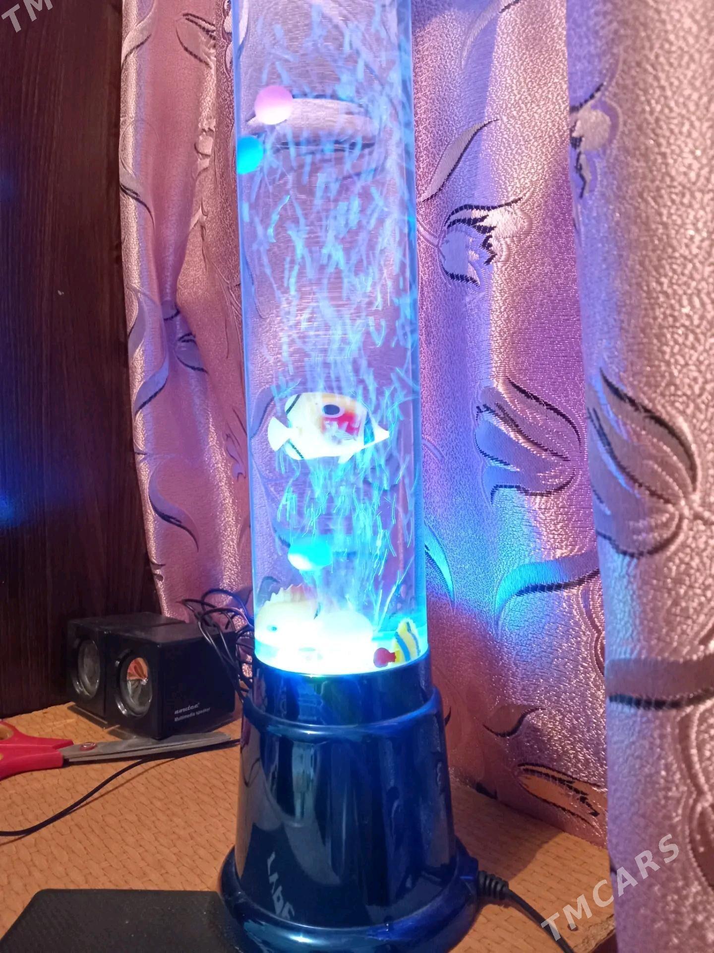 декоративный аквариум!! - Türkmenabat - img 1