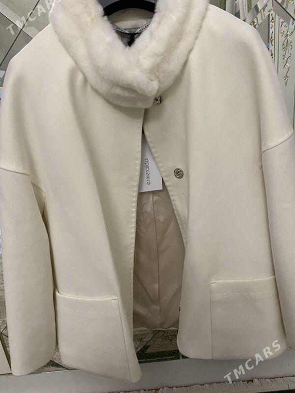 palto - Ашхабад - img 1