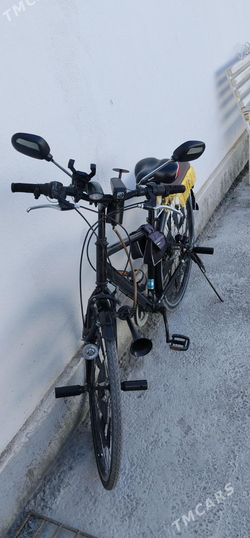 tigir - Анев - img 1