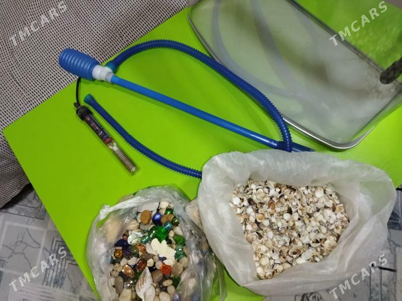 аквариум. - 30 mkr - img 10