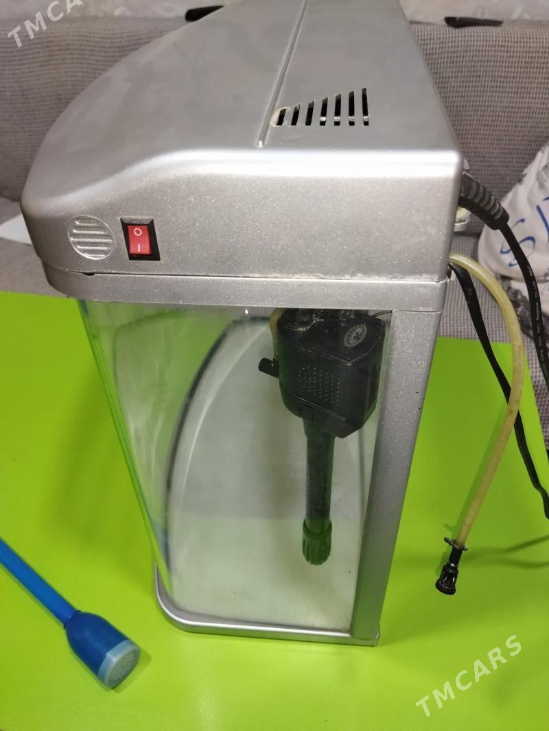 аквариум. - 30 mkr - img 6