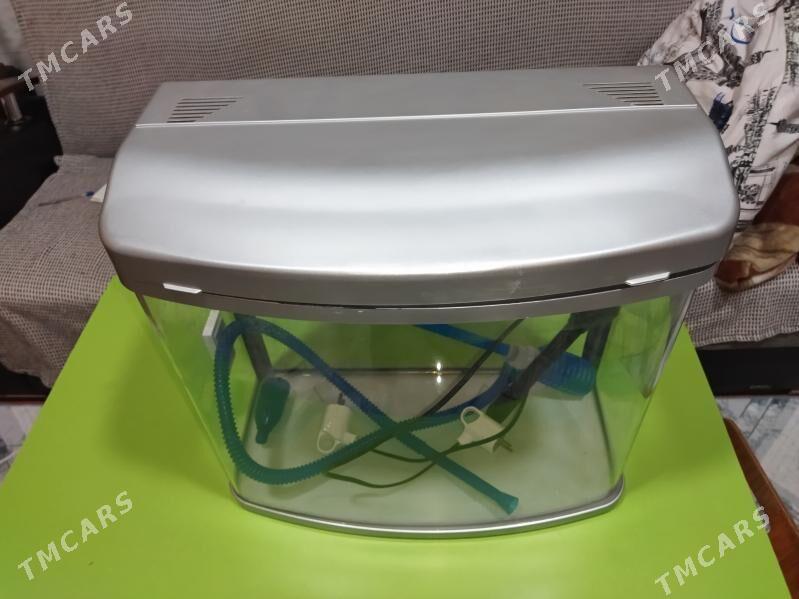 аквариум. - 30 mkr - img 1