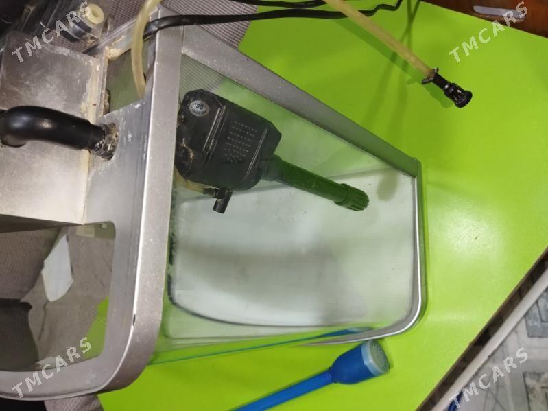 аквариум. - 30 mkr - img 7