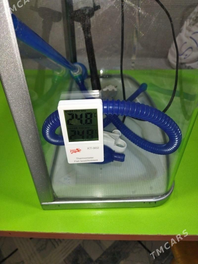 аквариум. - 30 mkr - img 2