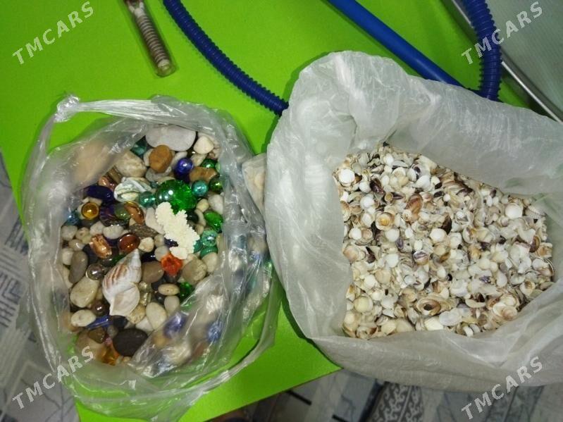 аквариум. - 30 mkr - img 9