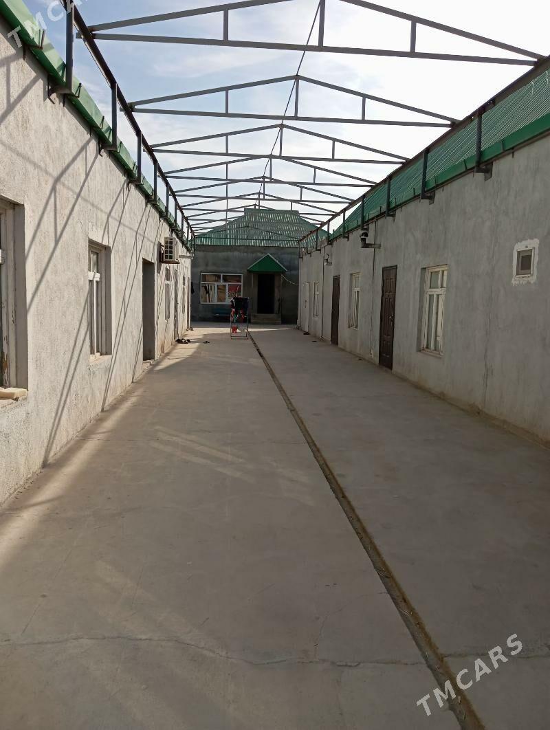 satlyk jay - Ак-Бугдайский этрап - img 3