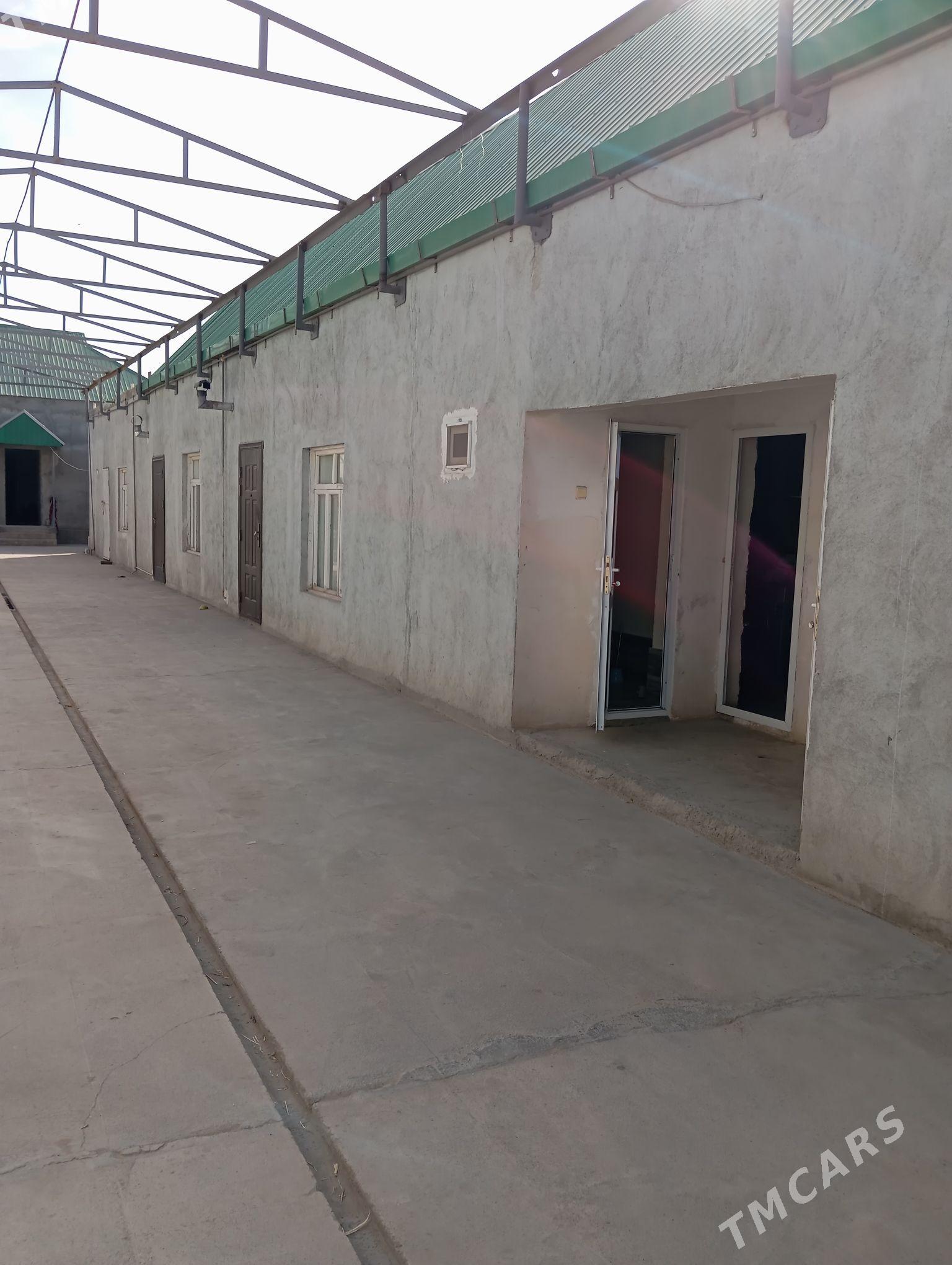 satlyk jay - Ак-Бугдайский этрап - img 2