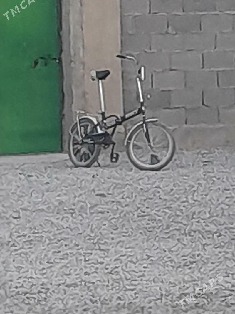 kama tigir - Кака - img 2