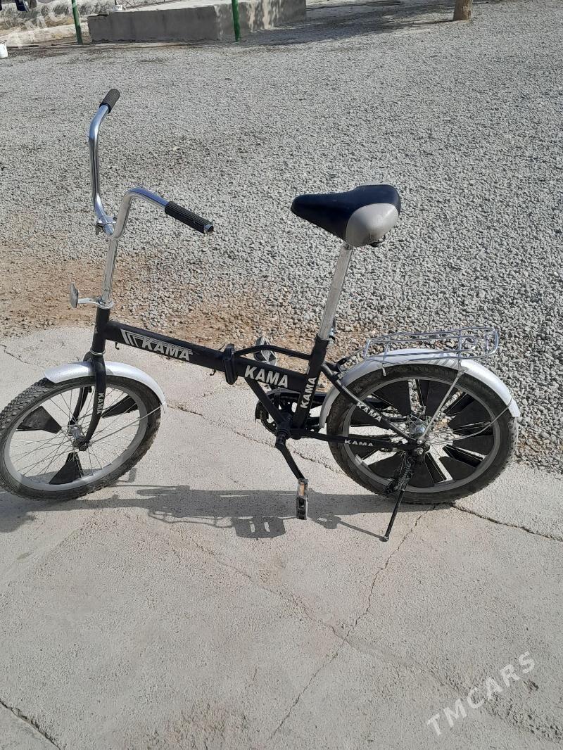 kama tigir - Кака - img 1