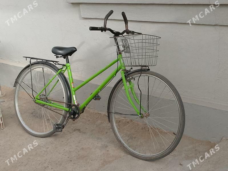 tigir - Çoganly - img 2