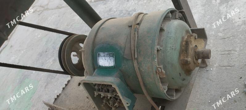 agac kesyan stanok - Änew - img 6