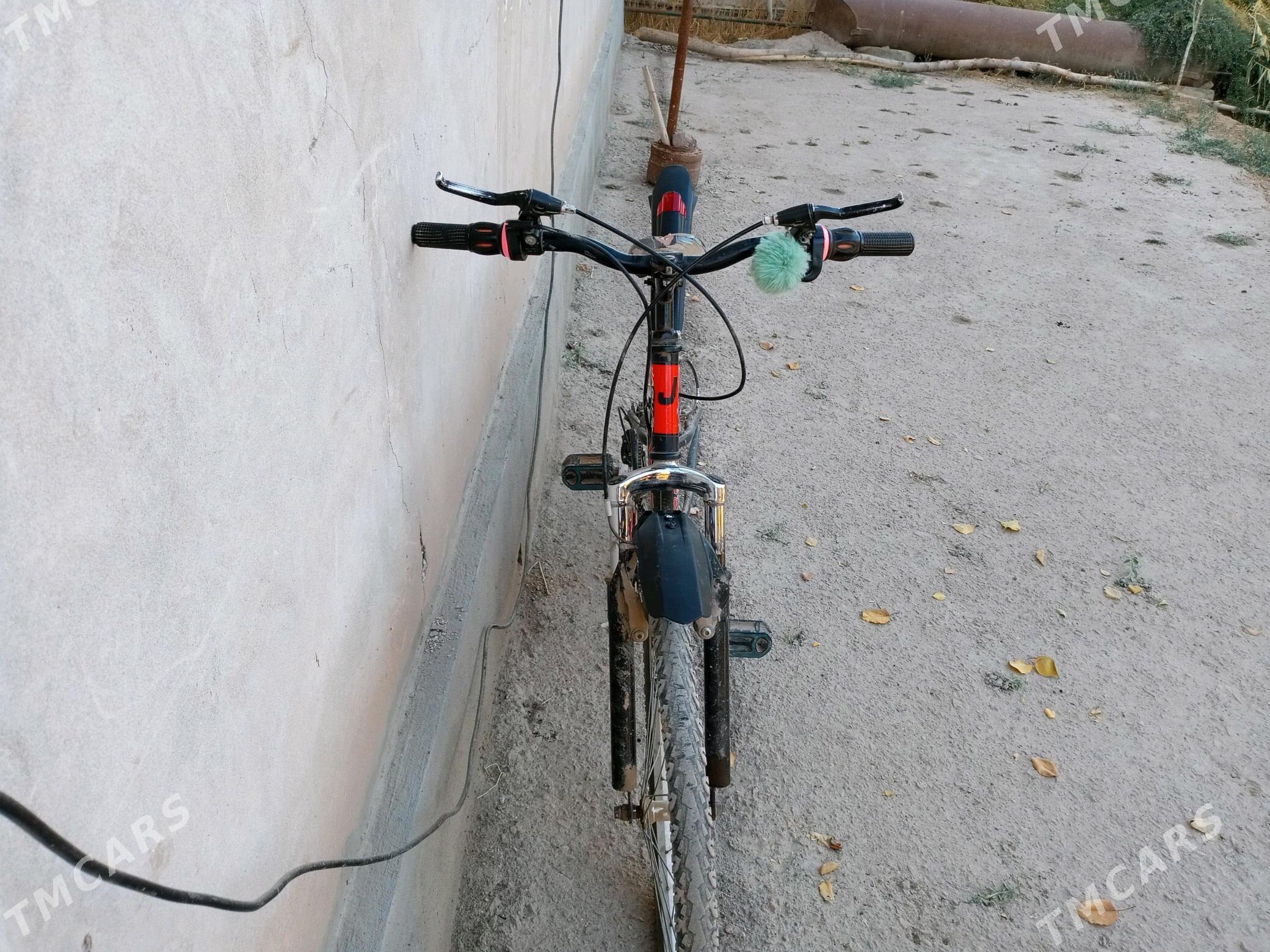 welik    noguar - Boldumsaz - img 1