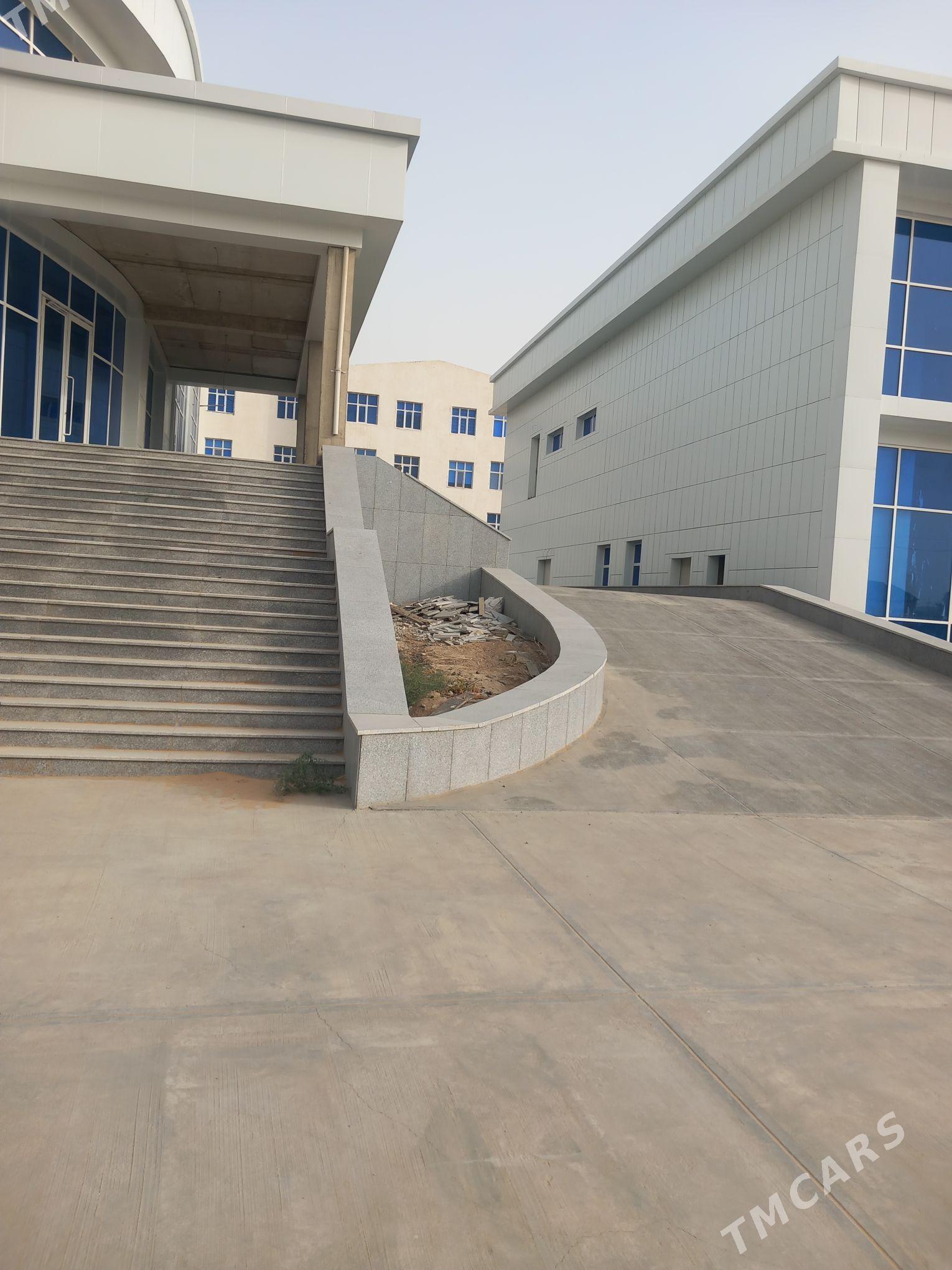 zdanya salyk - Анев - img 1