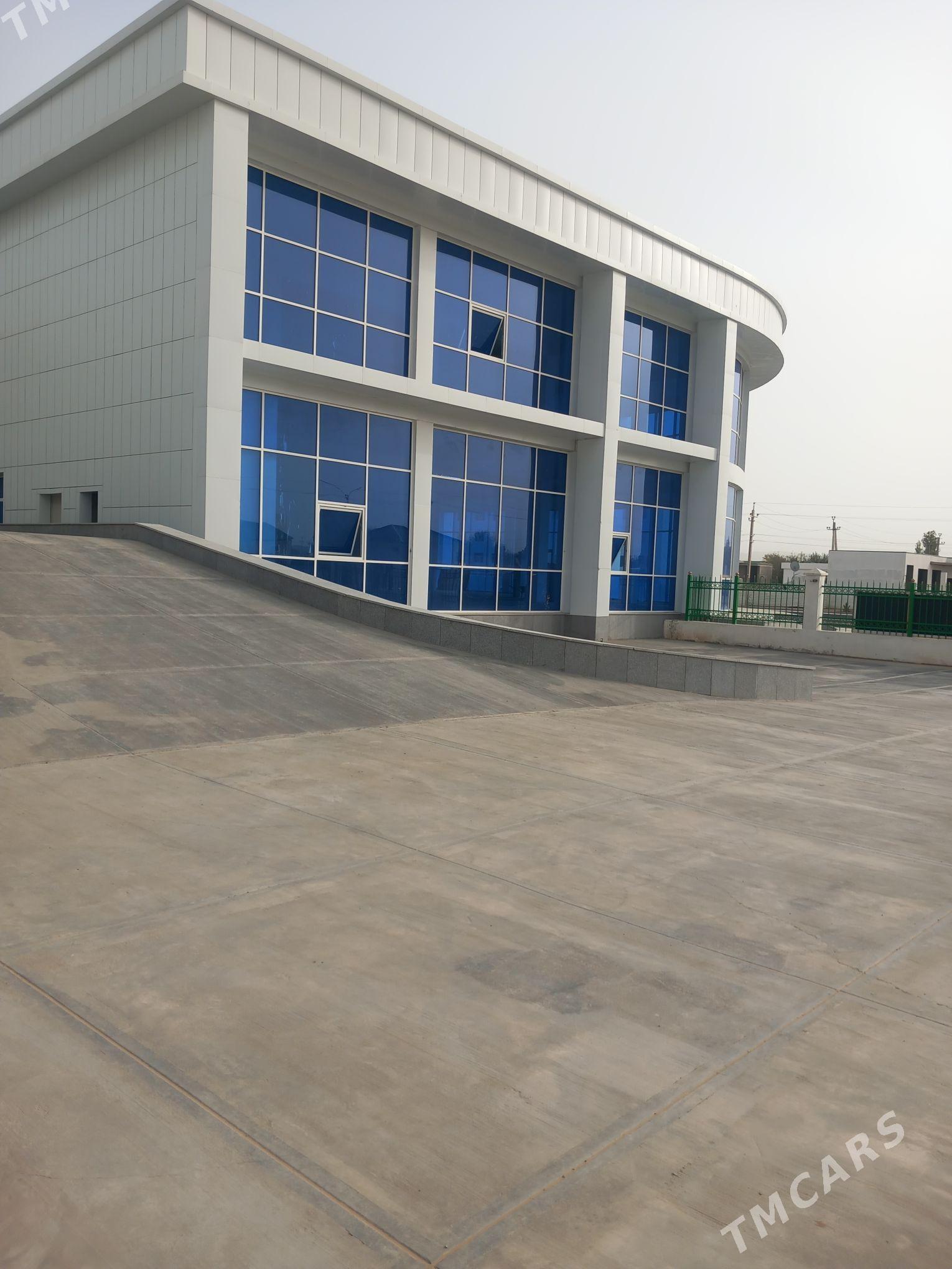 zdanya salyk - Анев - img 2