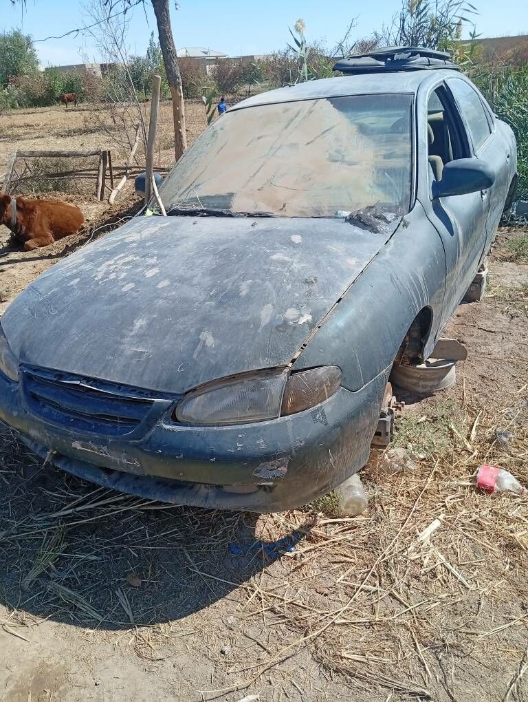 zapcas Hyundai accent 4 000 TMT - Daşoguz - img 1