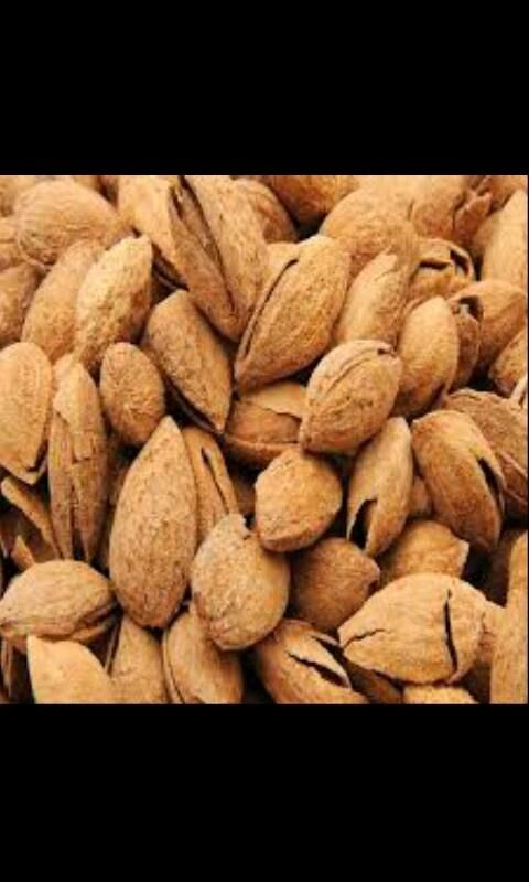 badam nahal Nonparail - Мары - img 1