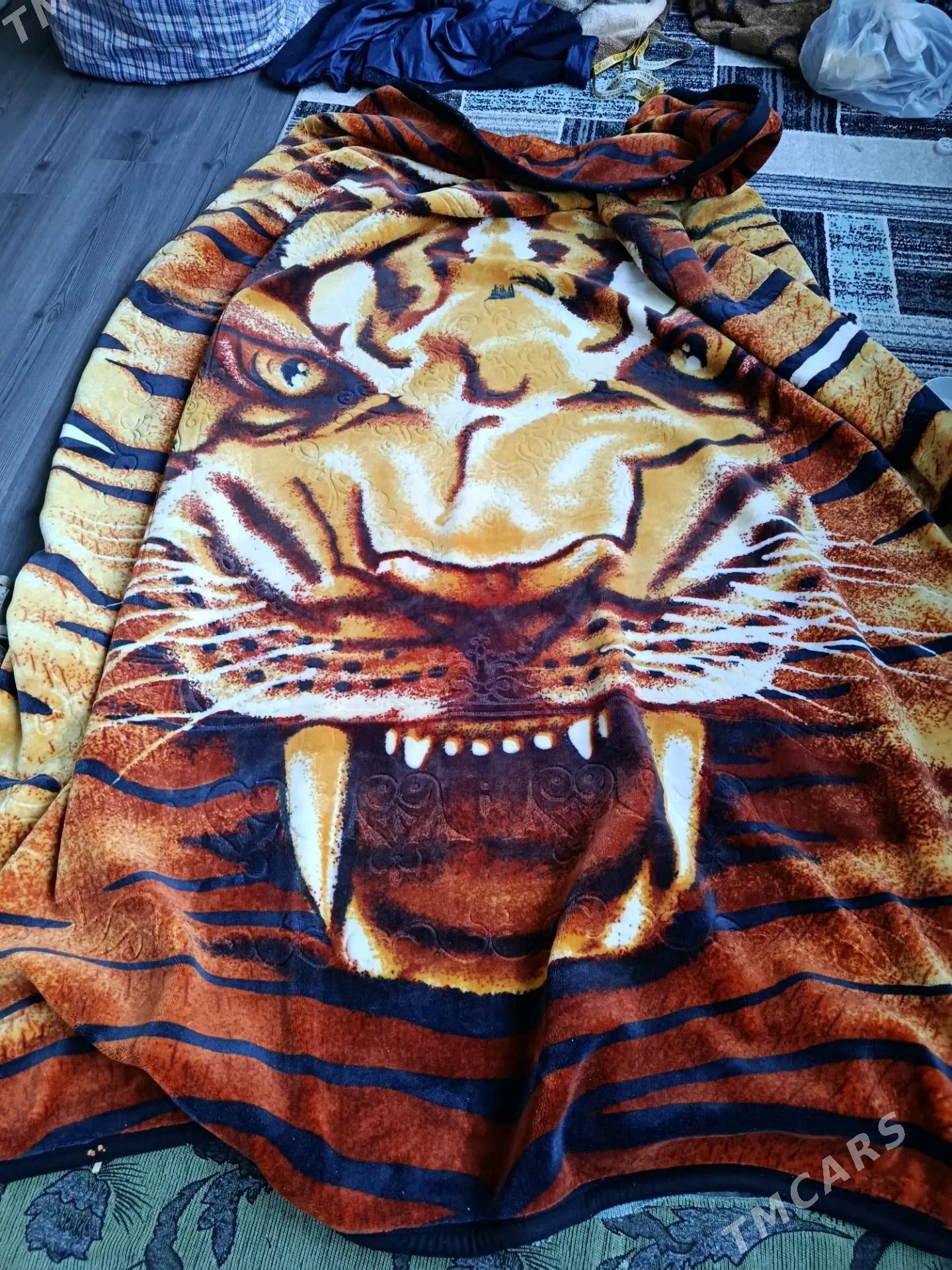 Adÿol - Türkmenbaşy - img 2