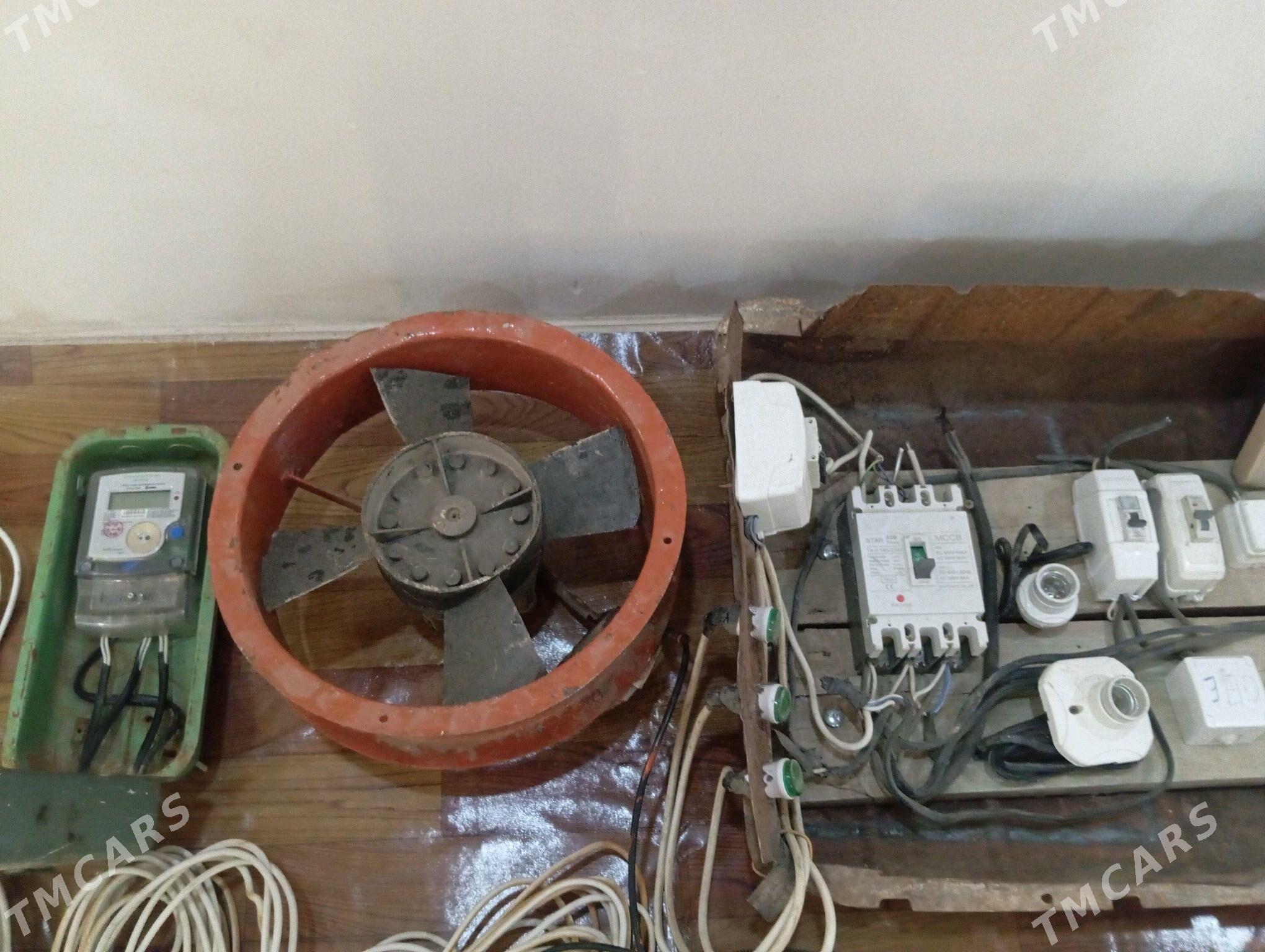 Tok ury - Murgap - img 3